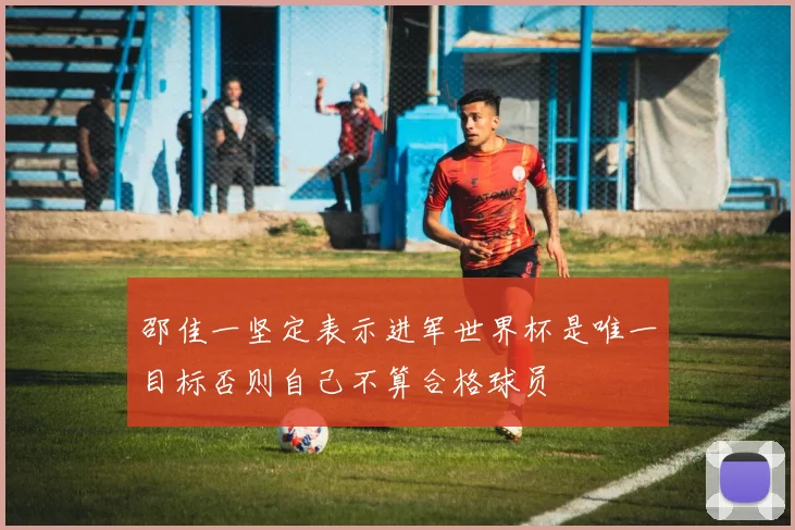 邵佳一坚定表示进军世界杯是唯一目标否则自己不算合格球员